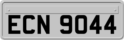 ECN9044
