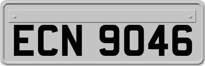 ECN9046