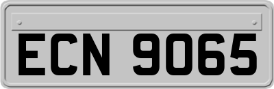 ECN9065