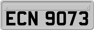 ECN9073
