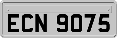 ECN9075