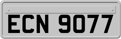 ECN9077