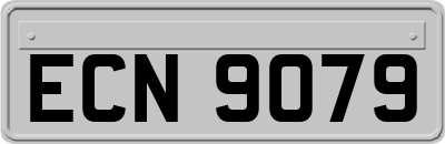 ECN9079