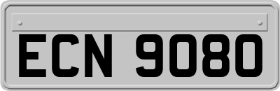ECN9080
