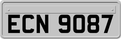 ECN9087