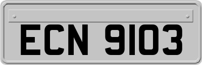 ECN9103