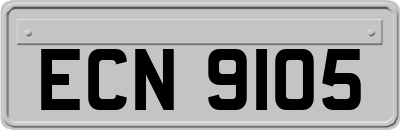 ECN9105