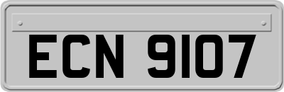 ECN9107