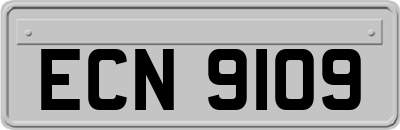 ECN9109