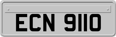 ECN9110