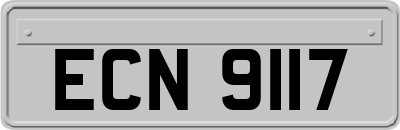 ECN9117