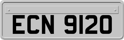 ECN9120