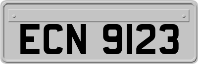 ECN9123