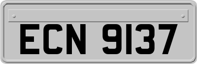 ECN9137