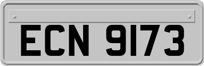 ECN9173