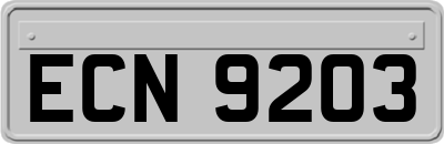ECN9203