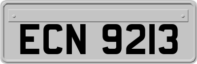 ECN9213