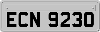 ECN9230