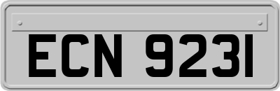 ECN9231
