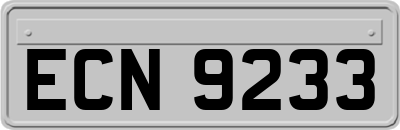 ECN9233