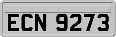 ECN9273