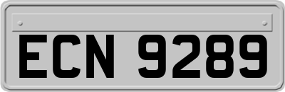 ECN9289