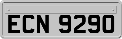 ECN9290