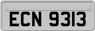 ECN9313