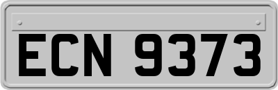 ECN9373