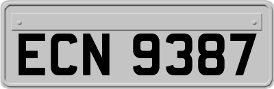 ECN9387