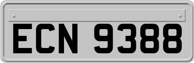 ECN9388
