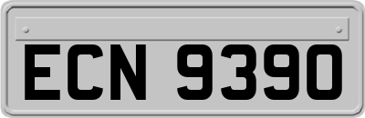 ECN9390