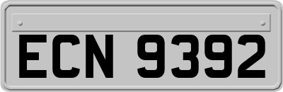 ECN9392