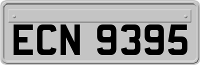 ECN9395