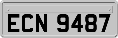 ECN9487