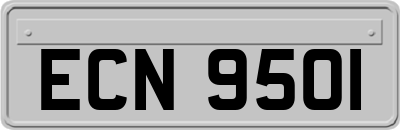 ECN9501