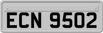 ECN9502