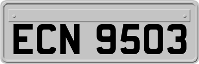 ECN9503
