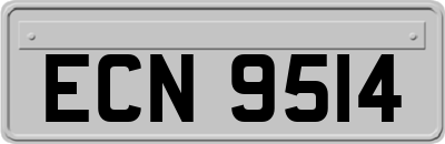 ECN9514
