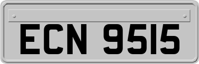 ECN9515