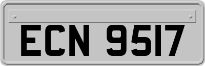ECN9517