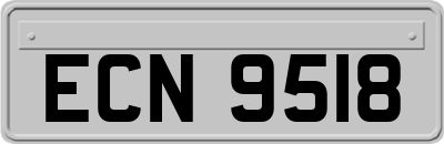 ECN9518