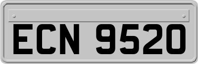 ECN9520
