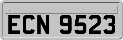 ECN9523