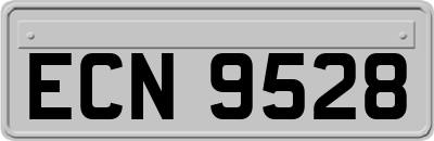 ECN9528