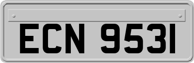 ECN9531