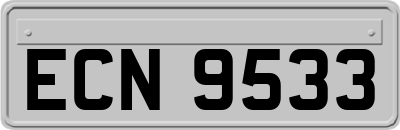 ECN9533