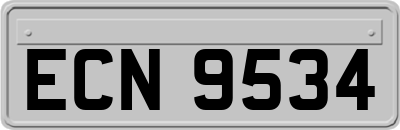 ECN9534