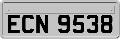 ECN9538