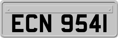 ECN9541